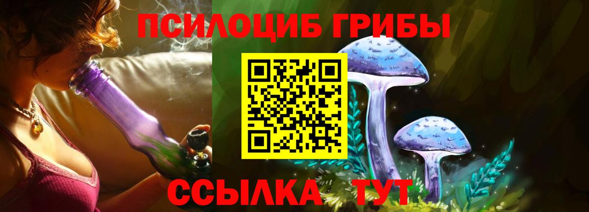 Кыштым  Псилоцибиновые грибы Cubensis  Вход с VPN 